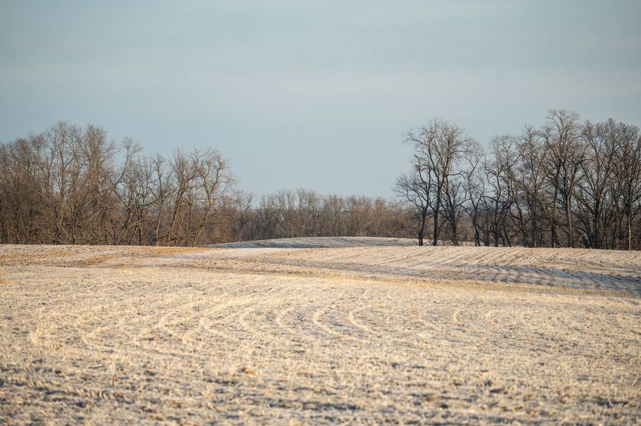Pike IL 145-3