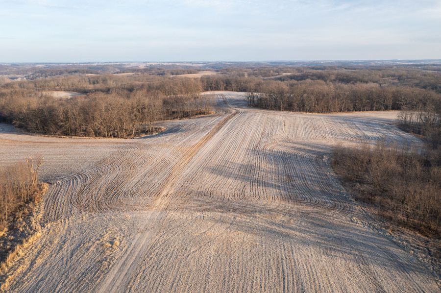 Pike IL 145-4