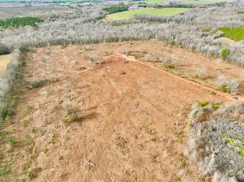 dji_fly_20230120_142242_171_1674242640598_photo