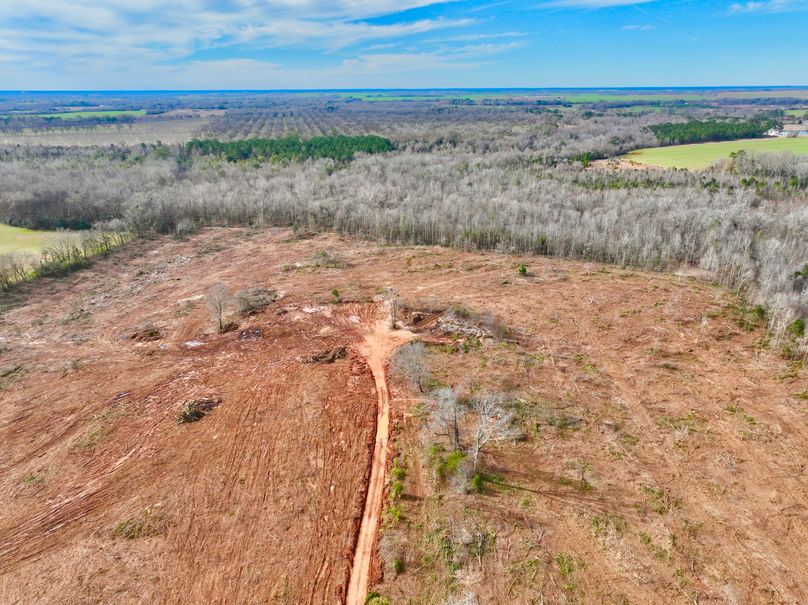 dji_fly_20230120_142004_162_1674242686194_photo