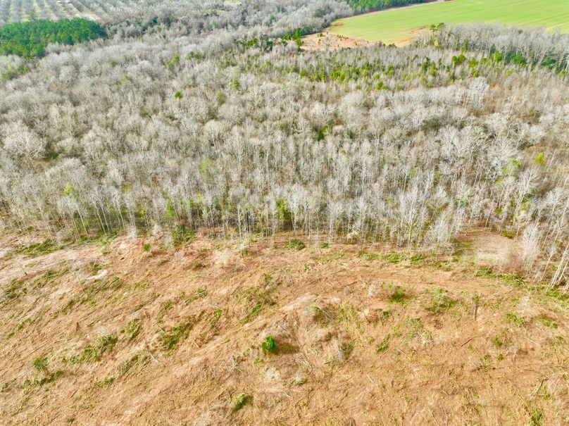 dji_fly_20230120_142022_164_1674242675613_photo