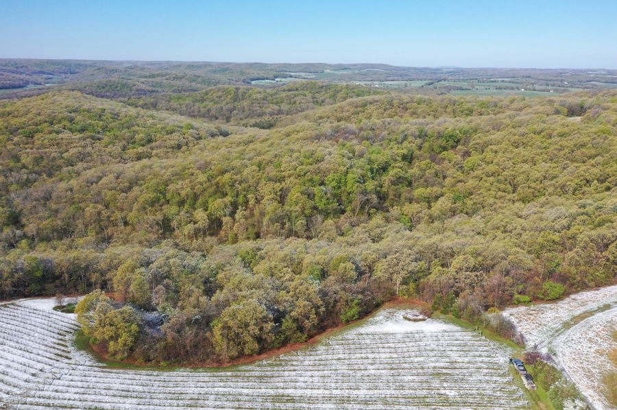 DJI_0363