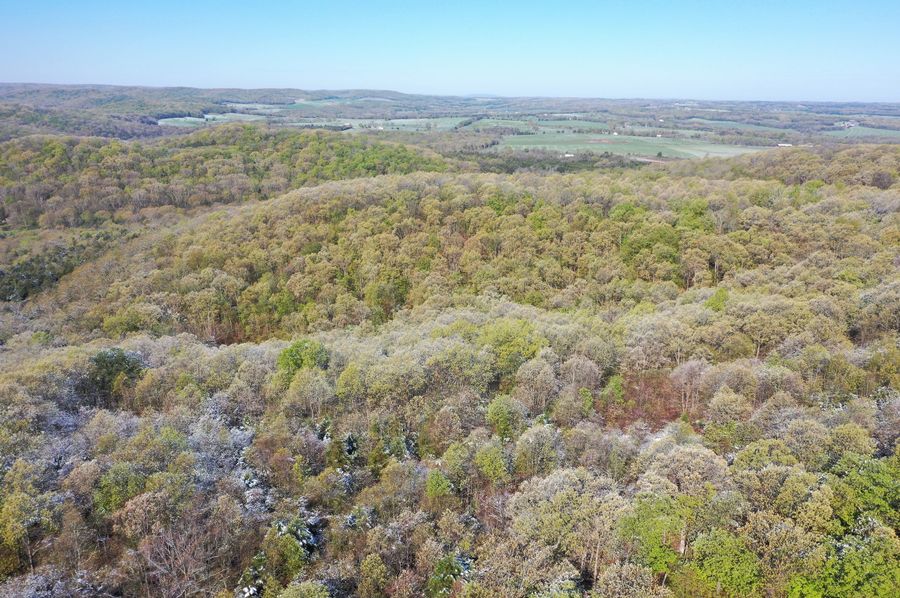DJI_0366
