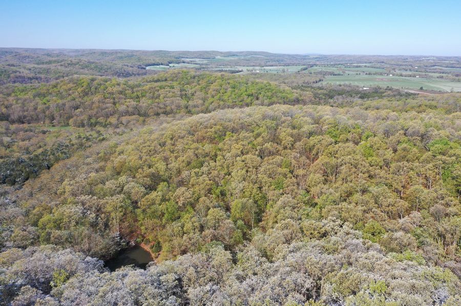 DJI_0367