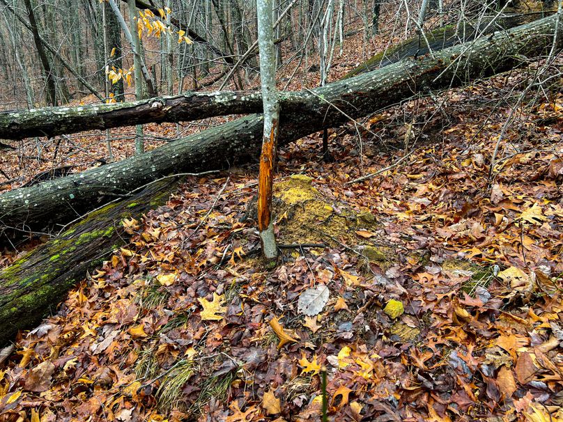 Calhoun, WV 132.5 AC Kesling-30