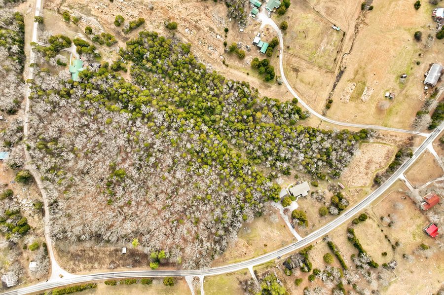 2934LukeMoserRoad-61