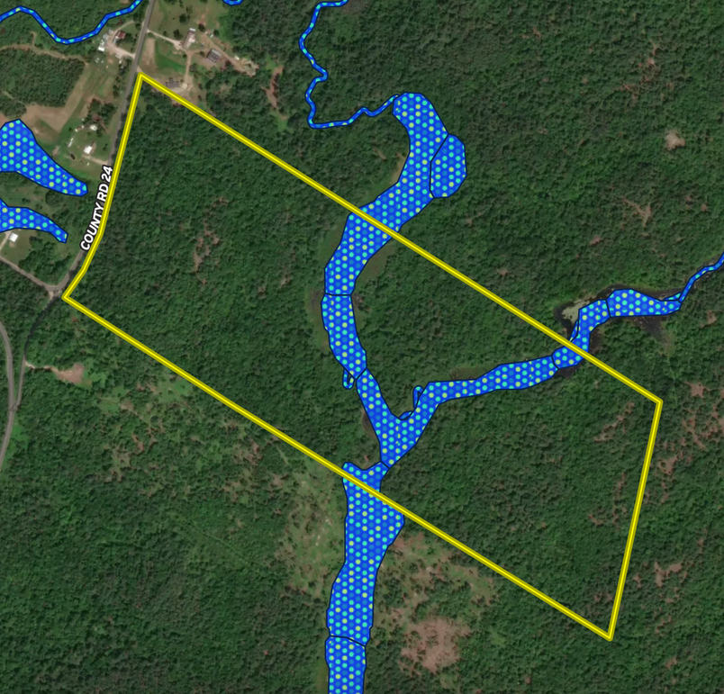 Screen Shot 2023-01-24 at 1.41.19 PM