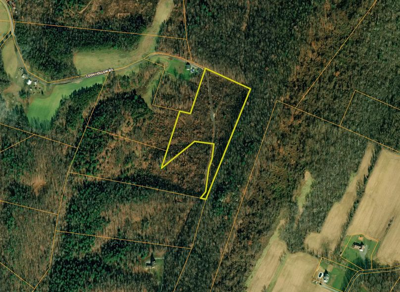 Screen Shot 2022-04-08 at 2.10.55 PM