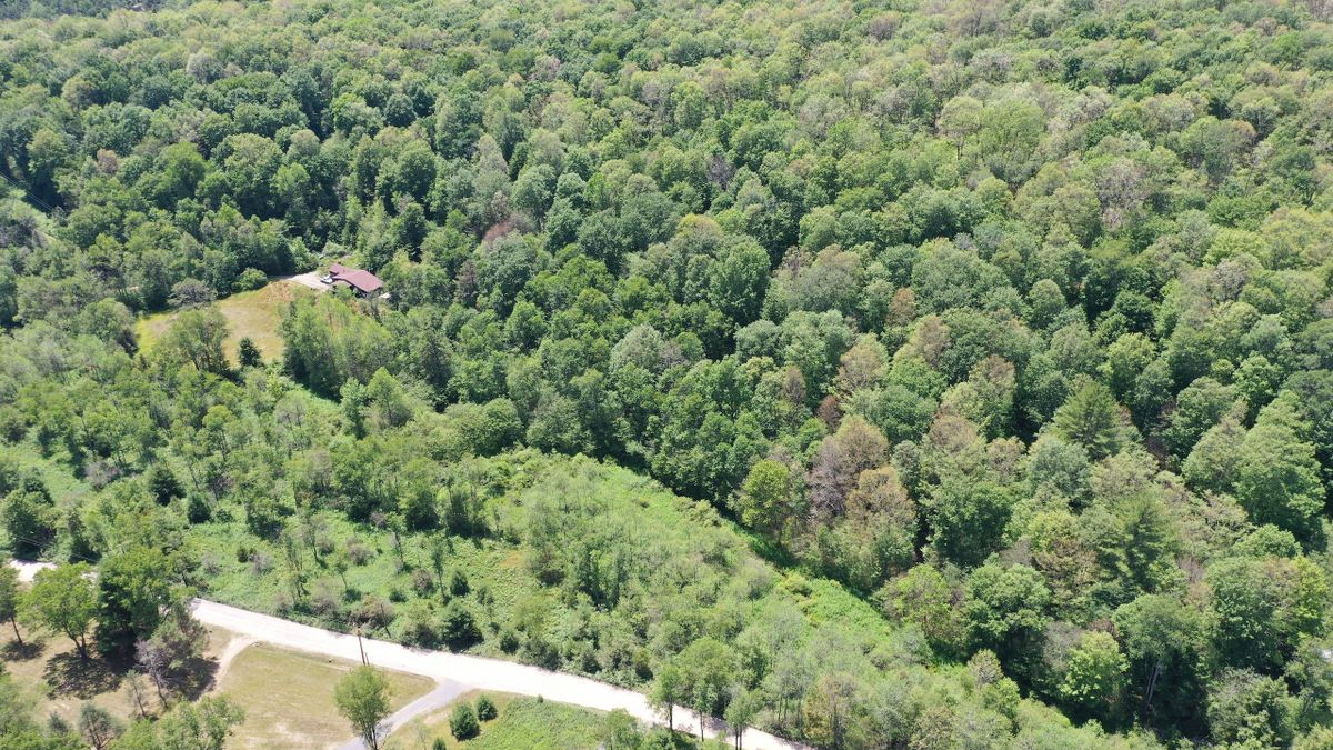 Residential Or Camp Lot In North Central PA Whitetail Properties