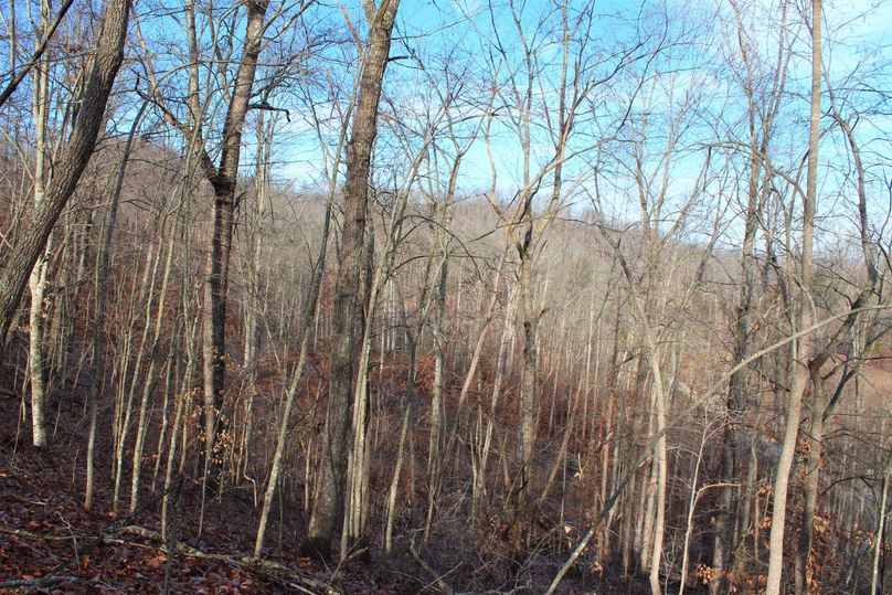 019 area along a northeast slope that timbering took place