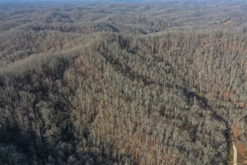 008 aerial drone shot of the west end of the property