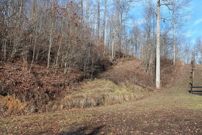 026 the old forest road leading westward up into the property