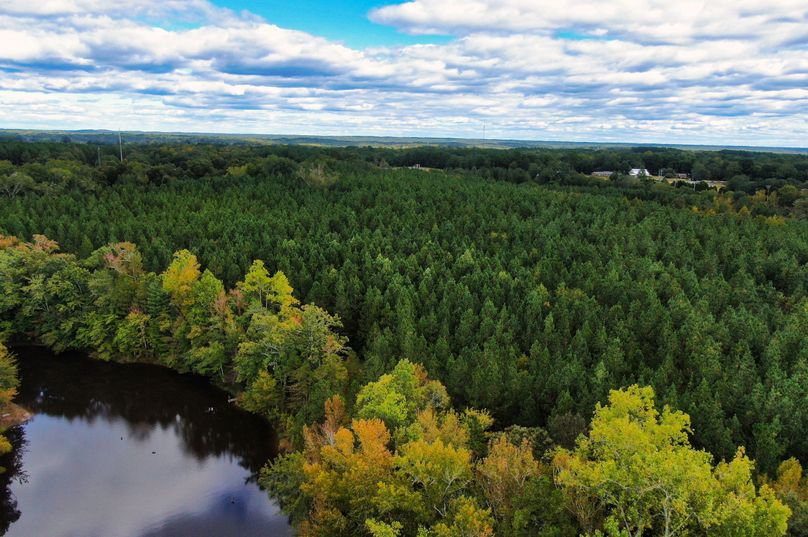 14 Drone Pond _ Woods