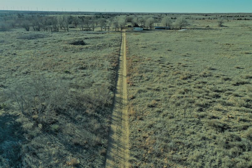 DJI_0919