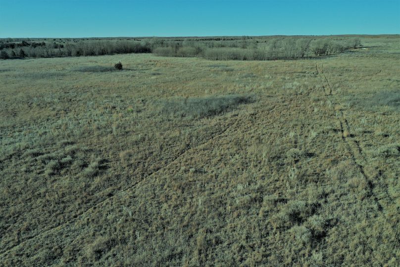 DJI_0943