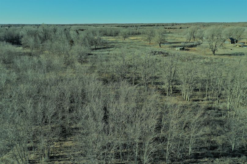 DJI_0922