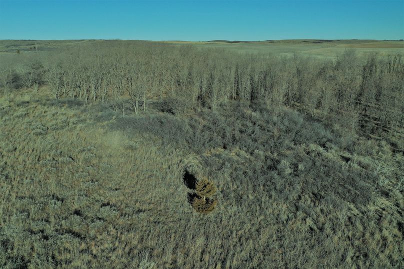 DJI_0942