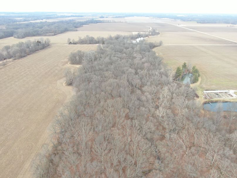 DJI_0354