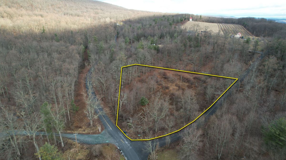 Affordable Buildable Lot Near Michaux State Forest Whitetail Properties