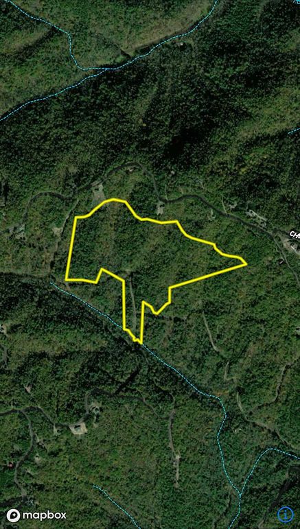Copy of Aerial 1