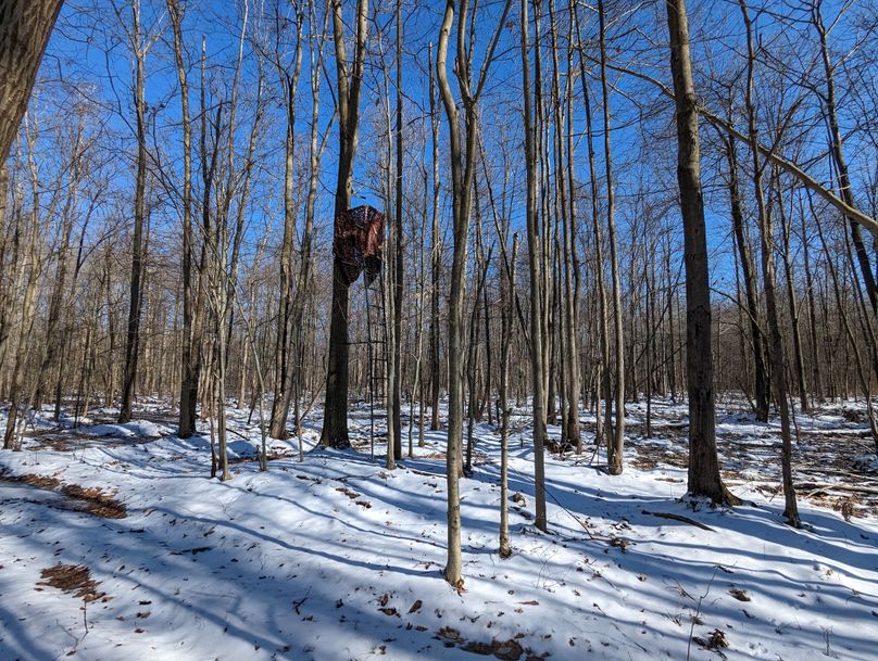 PXL_20230202_181015675