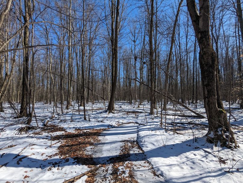 PXL_20230202_180125769