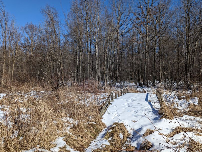 PXL_20230202_182147892