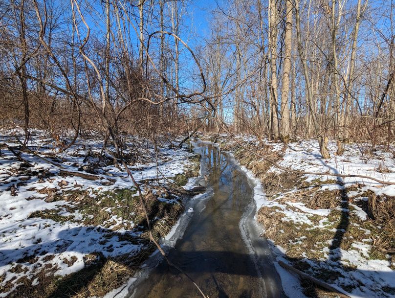 PXL_20230202_175914346