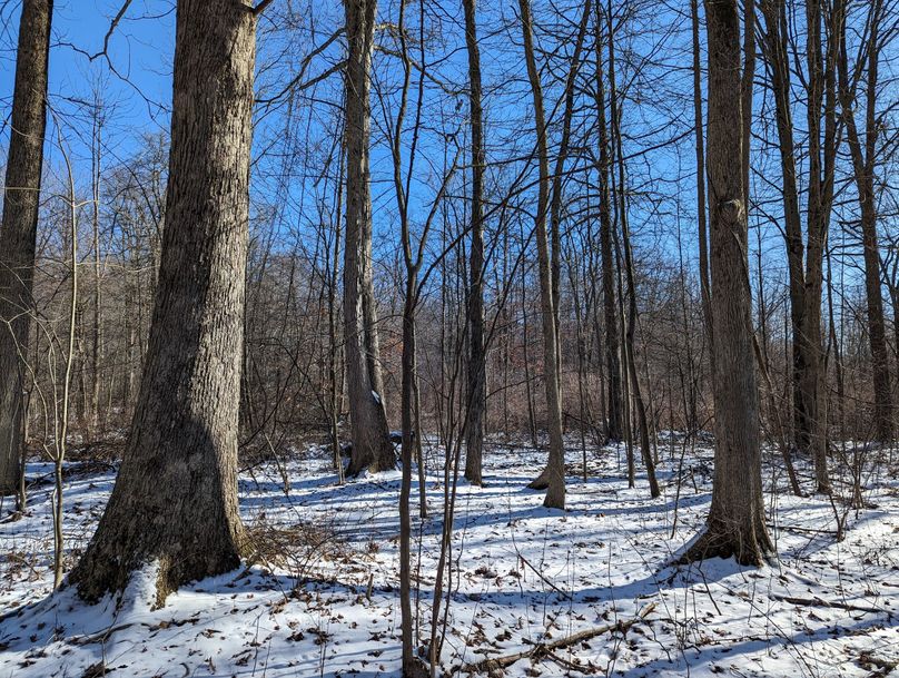 PXL_20230202_175812545