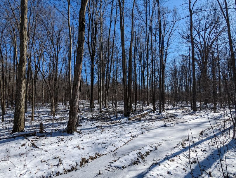 PXL_20230202_175420989