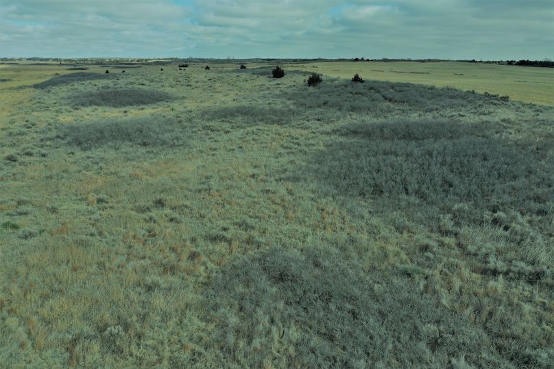 DJI_0959