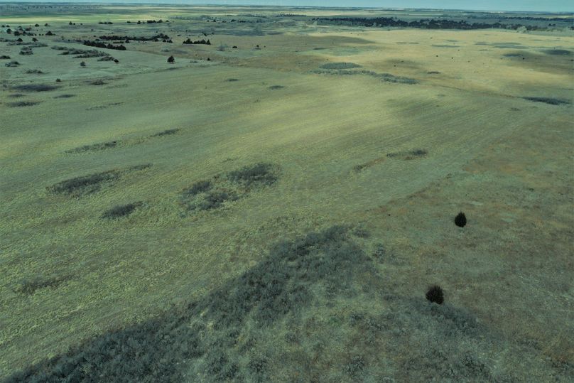 DJI_0962