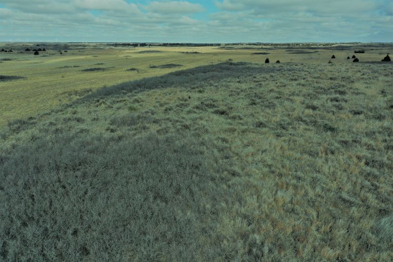 DJI_0960