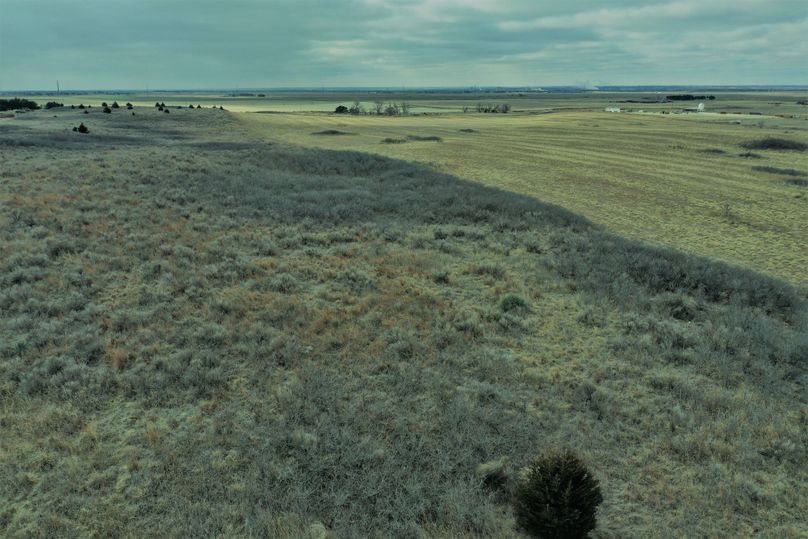 DJI_0967