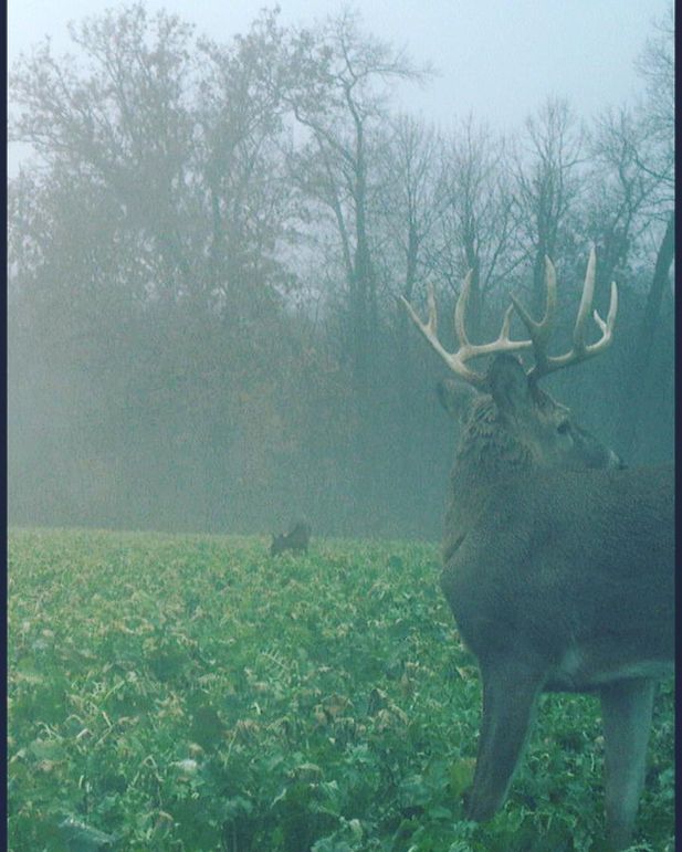 6610974C-3076-4C34-95B7-3DDB92B5462D