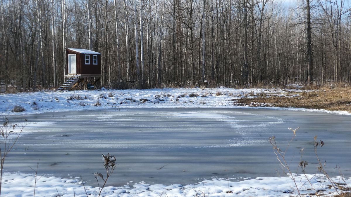 Wooded Hunting Parcel With Awesome Cabin In Central Michigan