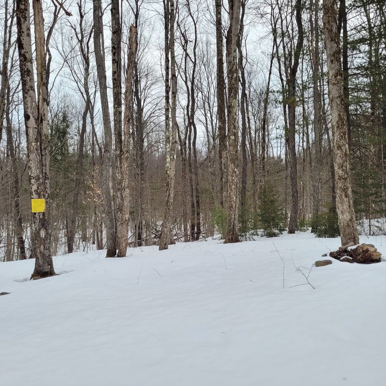 159452573_4032039390151633_7443983983975841278_n