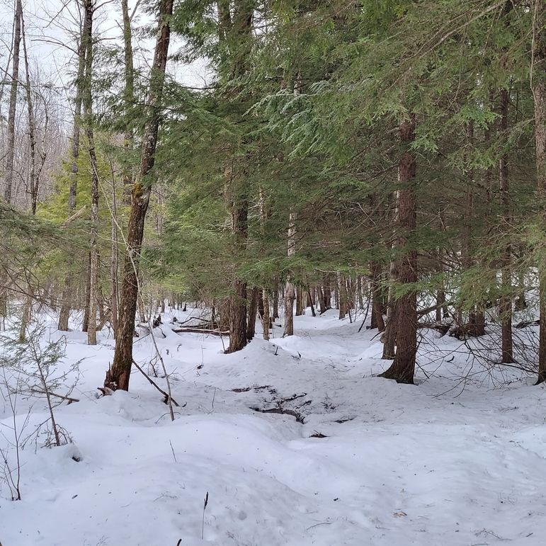 160552779_217791190123426_557891449301523316_n