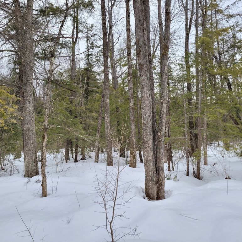 159488680_952521755503552_3526405068242911421_n