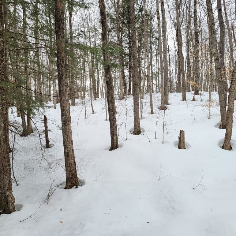 159975660_276513170652193_5313727444015700472_n