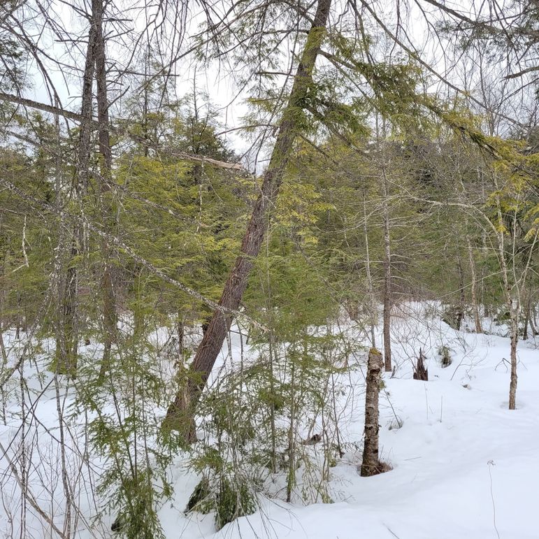 160484123_784801705775489_5230636946851406044_n