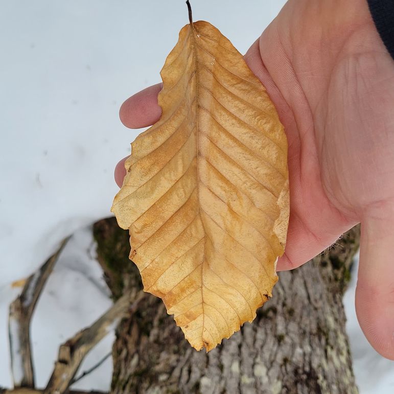 160886100_346772636670643_1423539275742496530_n