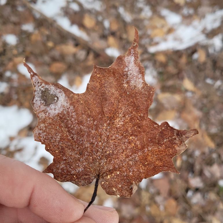 159959592_902434540353464_1931107652688529238_n