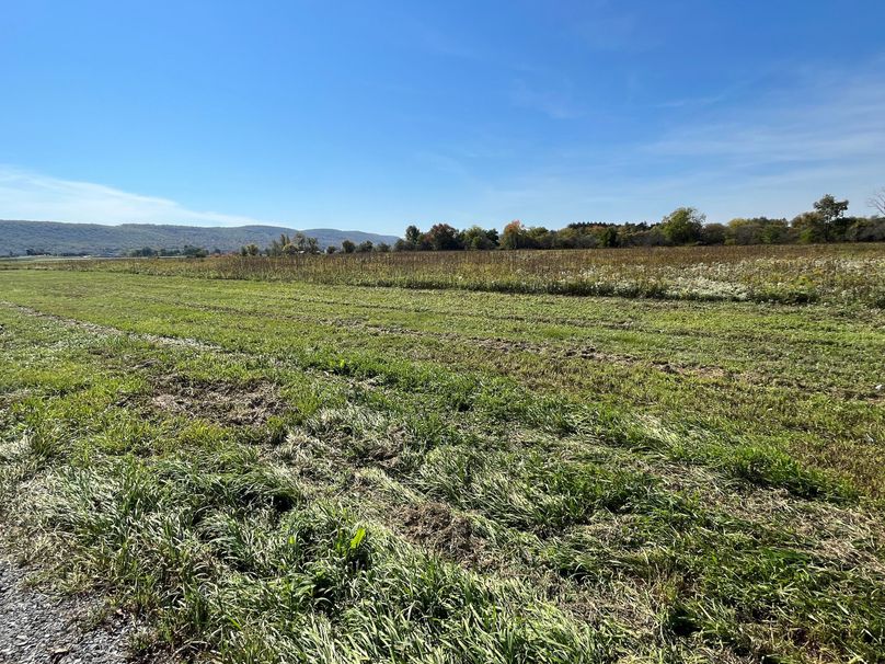 Chemung_19.69_Welles Photo 34