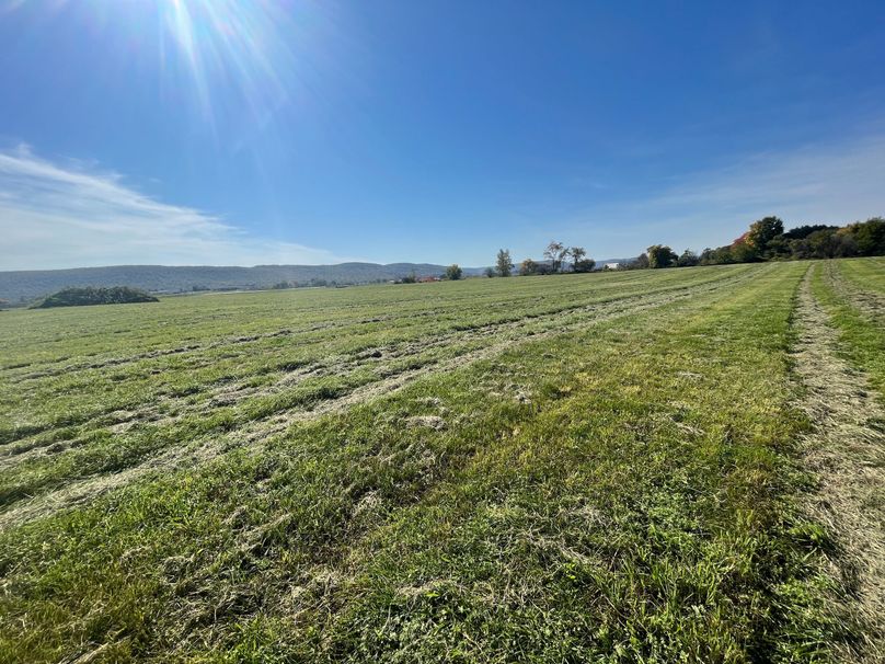 Chemung_19.69_Welles Photo 23