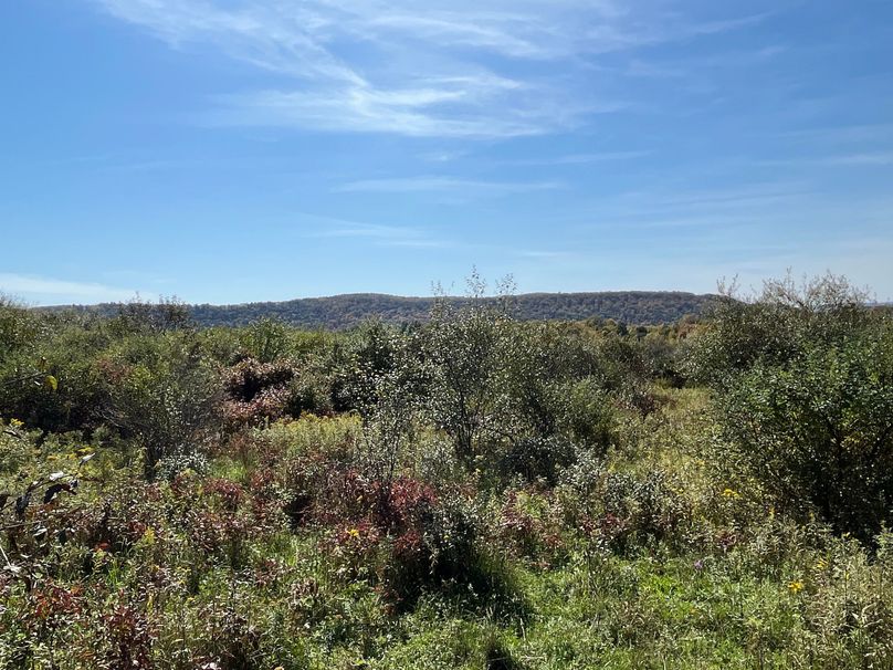 Chemung_19.69_Welles Photo 10