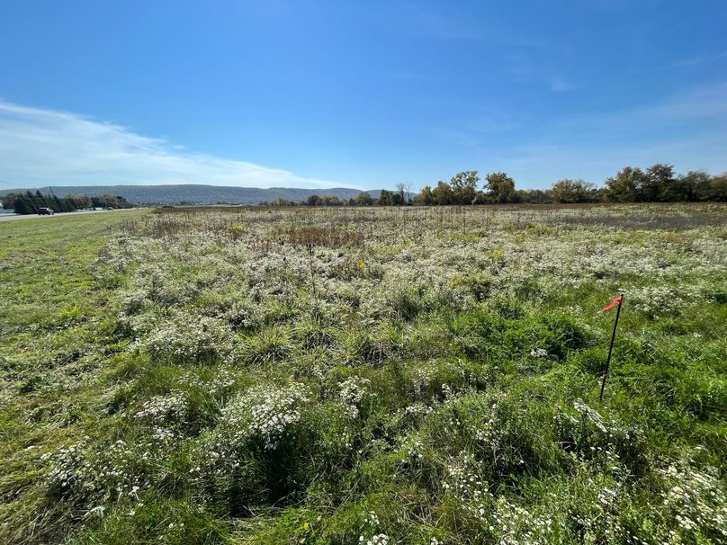 Chemung_19.69_Welles Photo 36