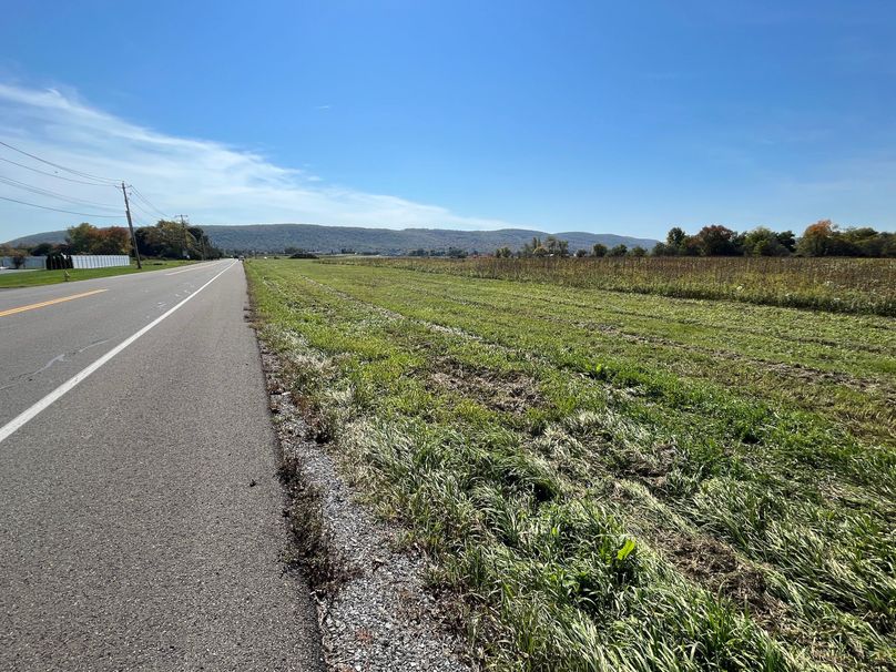 Chemung_19.69_Welles Photo 33