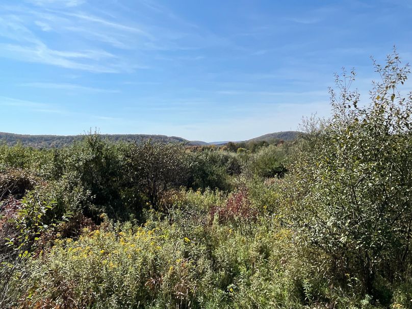 Chemung_19.69_Welles Photo 7