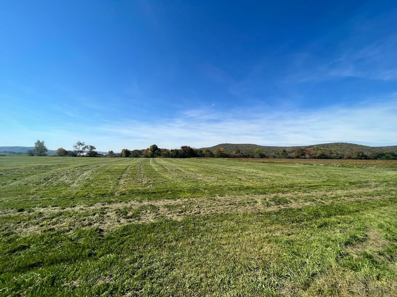 Chemung_19.69_Welles Photo 22